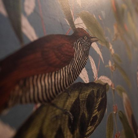 ホテル Welbeck Manor And Golf Sparkwell エクステリア 写真